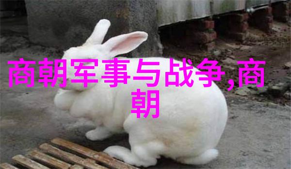 李小军十位中国著名书法家在自然之美中的墨迹流露