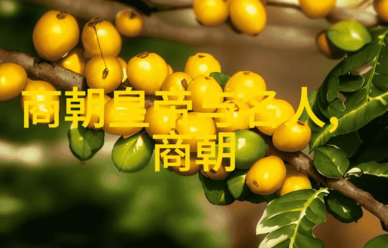 明清两代对元朝进行了怎样的历史评价
