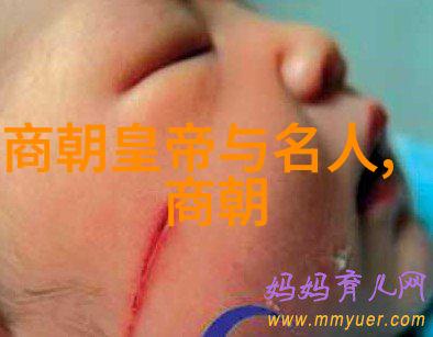 锦绣盛世明朝繁华的绚烂篇章
