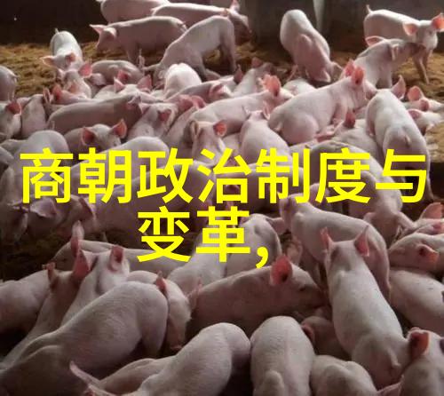 明朝那些事讲什么-揭秘红楼梦与明朝历史的神秘关联