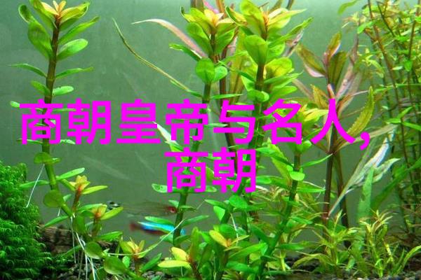火焰的魅力与危险玩火txt背后的故事