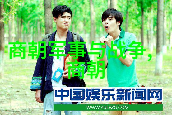 河南曲剧全场戏高兴旺豫剧丑行演员的活力魅力