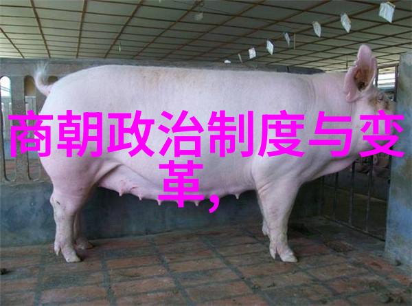 中国的辉煌从秦朝到清朝的王朝轮回