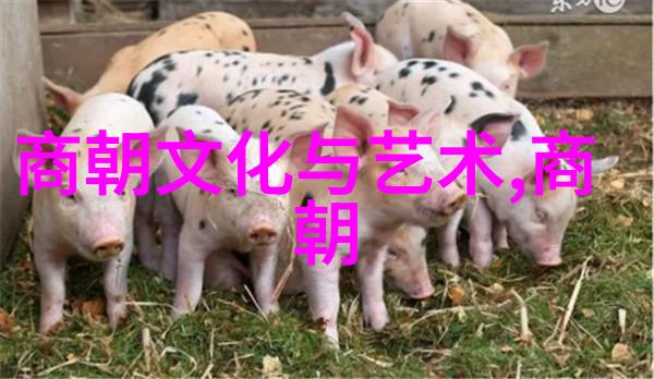 朱棣之子明朝中期的政治巨擘