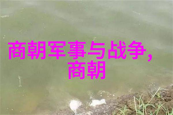 清朝历史简介了解中国明末到民国初年的兴衰变迁