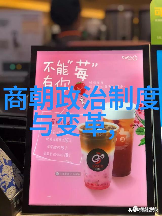 宫廷斗争中的华丽蜕变皇妃升职记宫廷权谋下的爱恨情仇