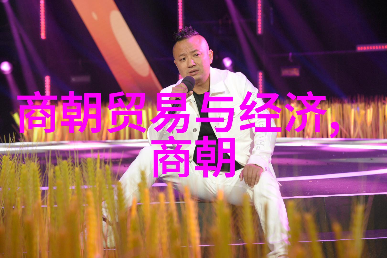 第四届黄梅戏艺术节群众共享家春秋的温馨回忆