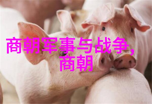 辽阔的版图元朝的无限延伸