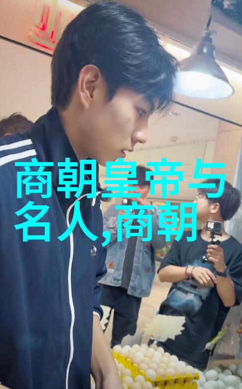 明朝的故事我亲眼见证的明朝奇迹