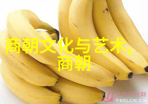 长达两千多年的辉煌与沉浮中国历史上最为显赫的王朝篇章