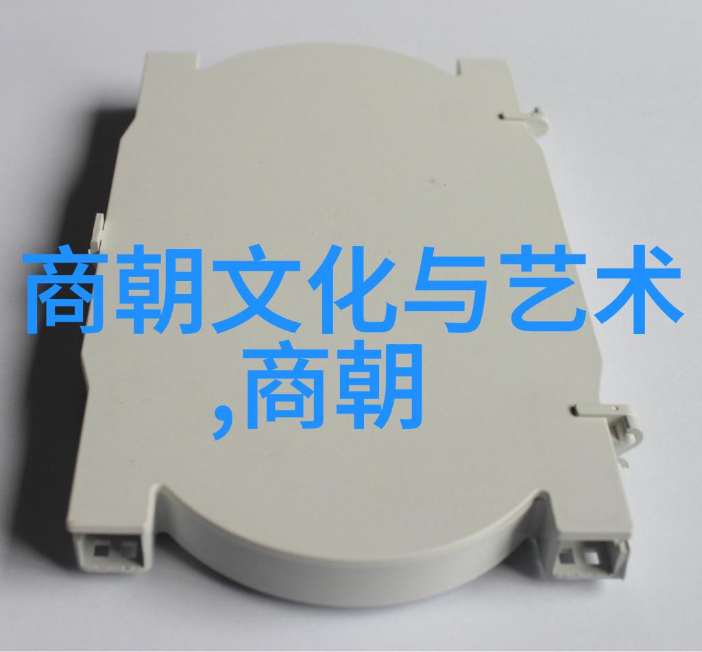 明朝继明成祖之位的君主明朝的后期统治者