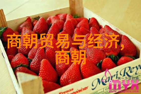 科研新星吴青云的创新之旅