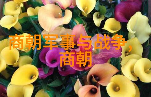 女驸马黄梅戏荣耀大展第六届黄梅戏艺术节文化盛宴真正的主角