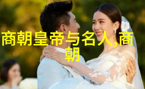 明朝简史龙兴盛衰的江山记