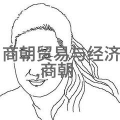 北朝末期的权力转移杨坚篡周之谜