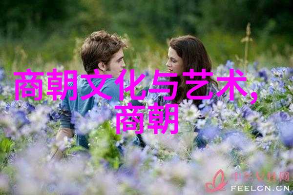揭秘明朝诡异事迹阴谋与超自然的边缘
