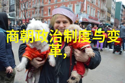 历史上的遗憾那些不该消逝的王朝与文化