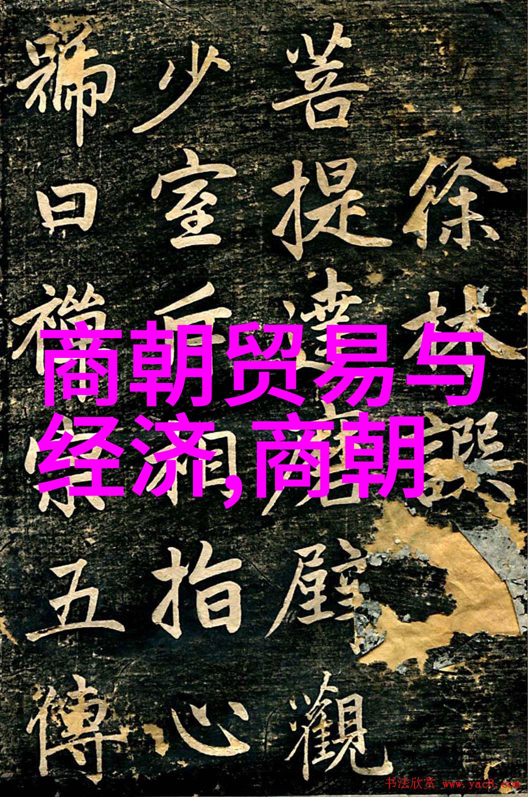 河南豫剧演员田慧娟在南京公演全场获赞