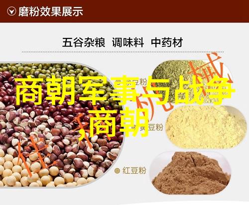 元惠宗末年的动荡与衰落预兆