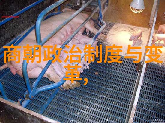 主题我来教你怎么在手机上看明朝历史视频