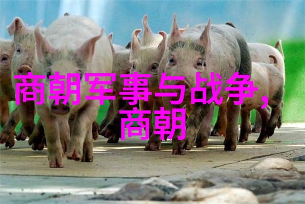 明末烽烟南明监国的英杰