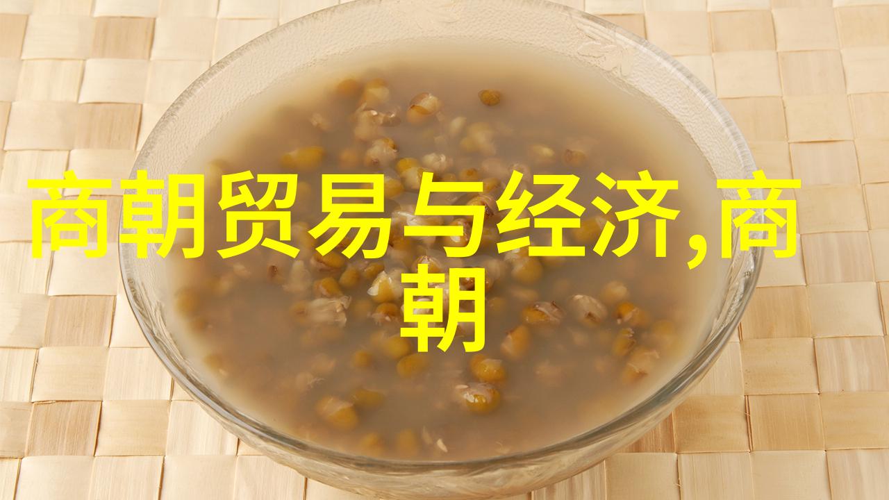 历史的悲剧哪个朝代最终走向毁灭的迷雾