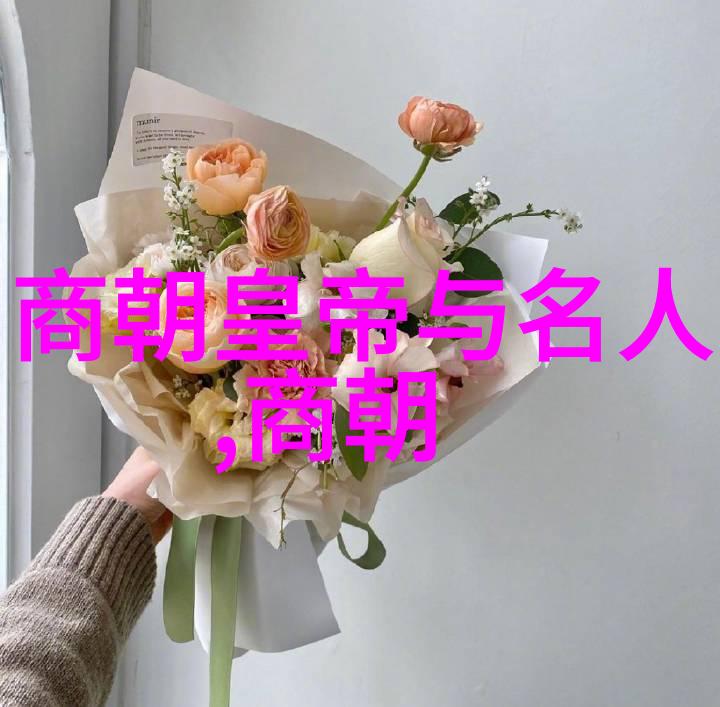 时光回响明朝的奇迹与传奇