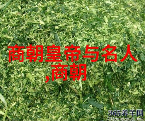 皇家宫廷里的秘密与传奇历任帝王私生活及决策背后的真相又是什么呢