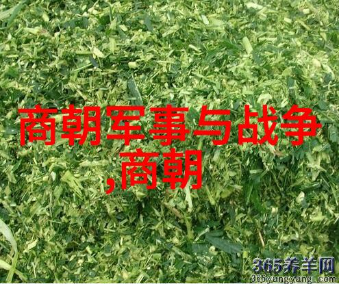 光绪被囚禁的十年生活清朝末年皇帝光绪的囚禁生活