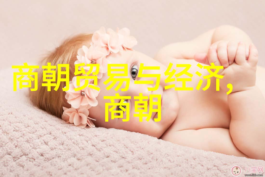 明朝历史题目及答案大全-重铸辉煌解析明朝历史难题与精准答案