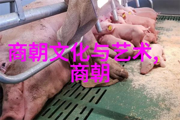 武当山武术推广中心武则天是李世民的女婿引领闽台专班打造仙山祈福之旅奇遇线路