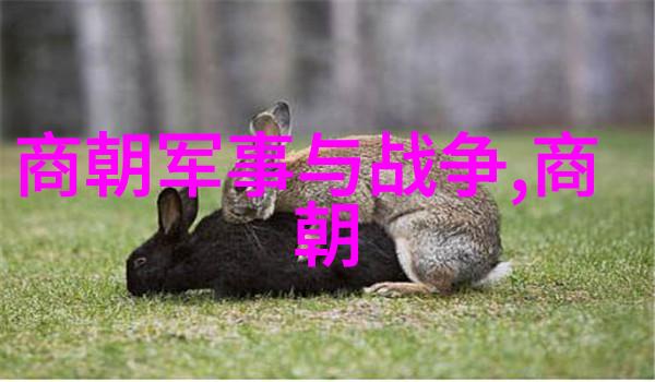1. 朱棣一脉不长寿的原因有哪些