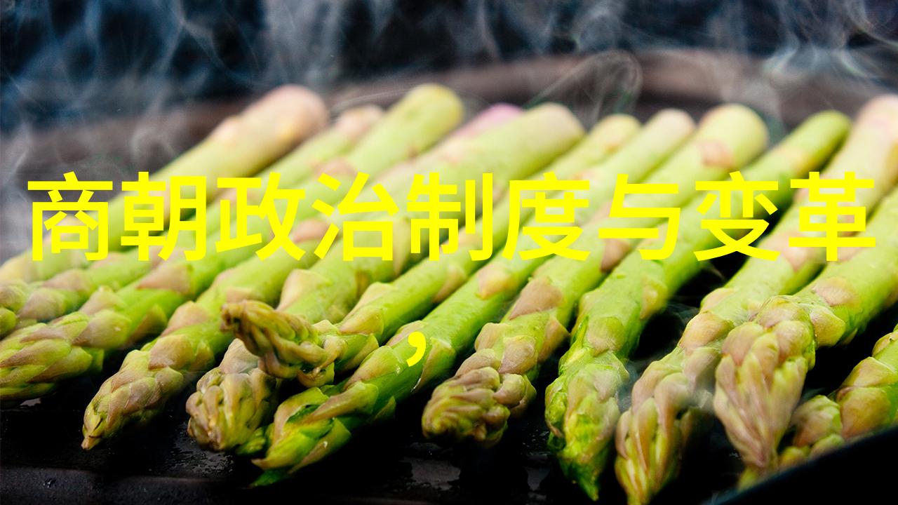 明朝悠悠岁月卿卿情深与逍遥之志