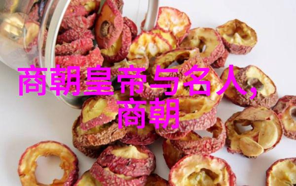 清除倭寇重建国家明代南京城墙建设在地理环境中的作用分析