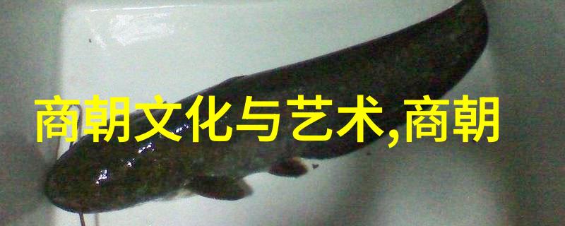 明灯孤影刘伯温的最后岁月