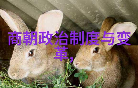 那一刻的解脱