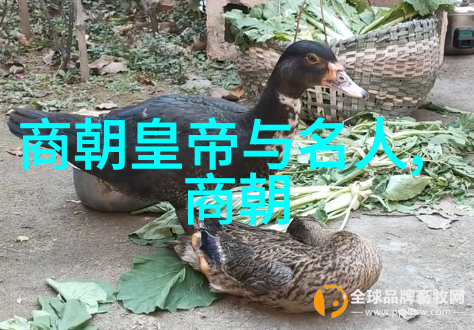 清朝贵族阶层中的权力斗争和亲情观
