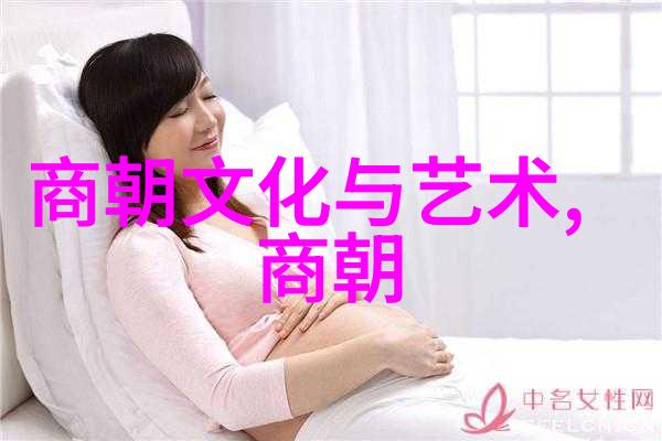 文化传承与政治演进在中国历史中各个王朝之间文化有什么样的联系和差异