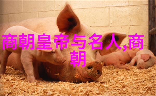 明英宗凭什么叫英宗明朝的第三位皇帝武功赫赫
