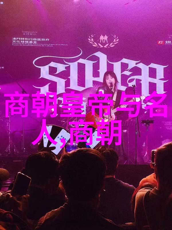 唐朝与隋朝之争盛世对比与历史评估