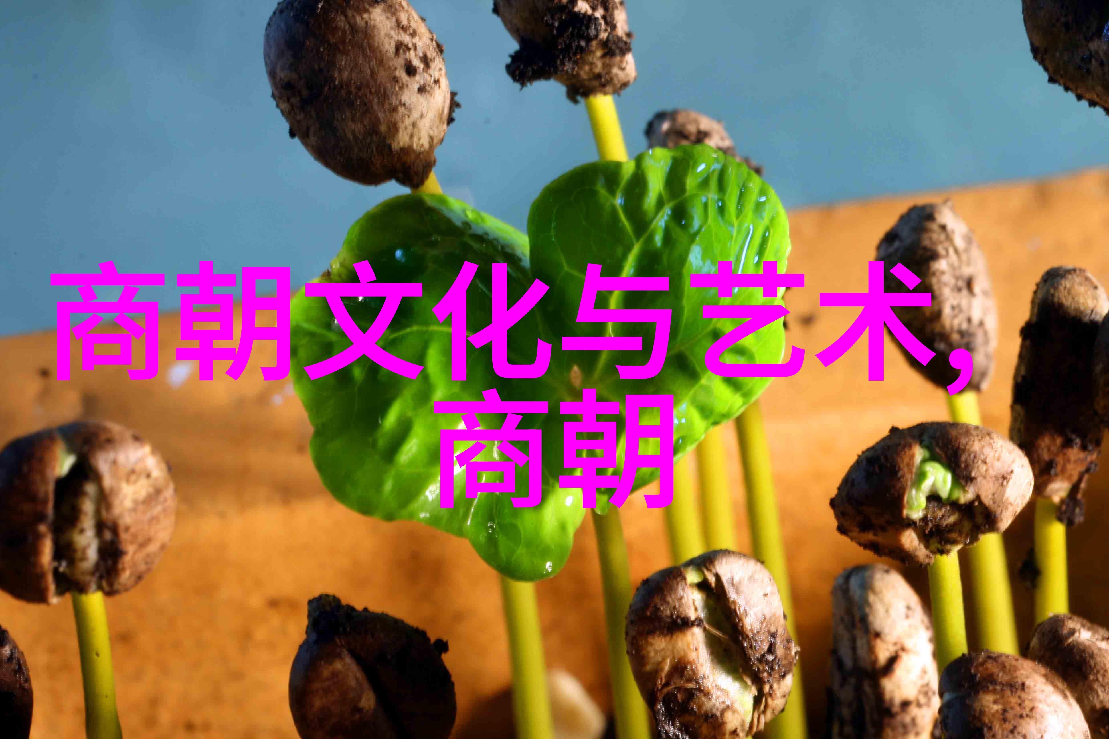 夜秦秘笈揭秘太极拳呼吸法的精髓与实战技巧