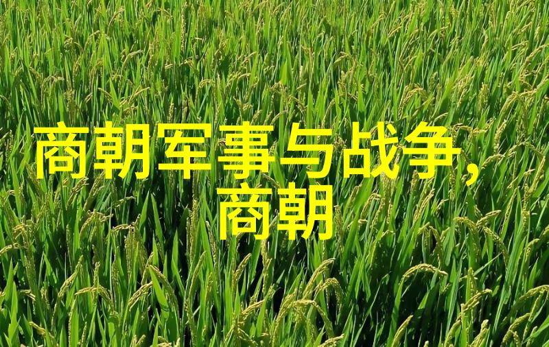 秦国时期的豪杰们韩哀侯的悲歌