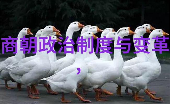 红色故事泪水中的回声