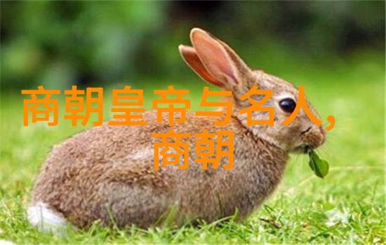 明朝奇遇100个令人惊叹的历史故事中的第一个是怎样的