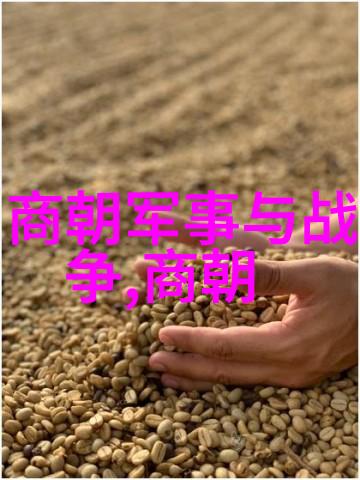 中国大明历史我国古代的辉煌与梦想从朱元璋到万历的变迁故事