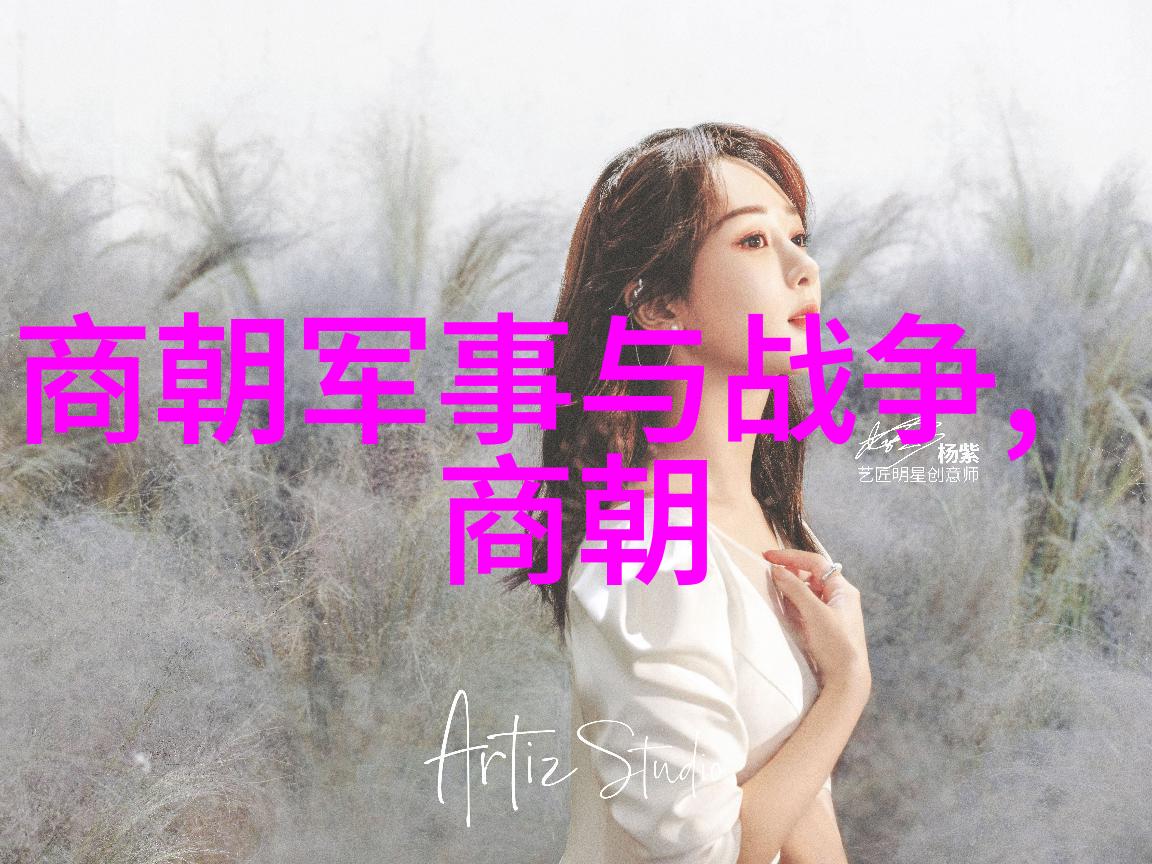 明朝江山历史与现实的映射问题探究