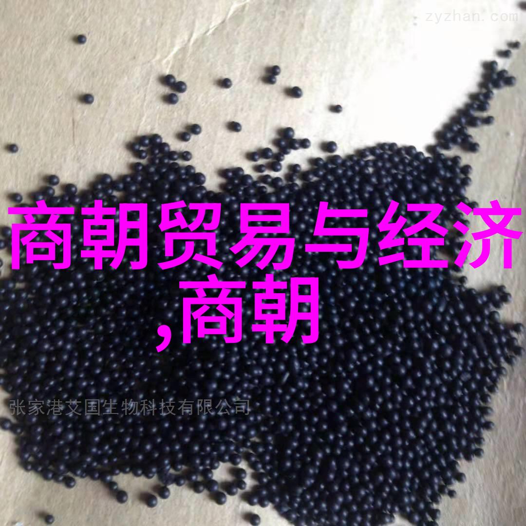 南宋与北宋的分裂历程中国历史上的两大朝代变迁