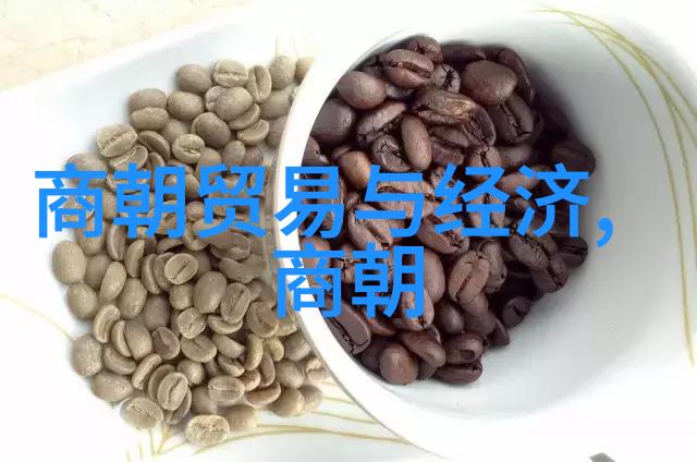 明朝的辉煌与挑战探索一代帝王的强盛与衰落
