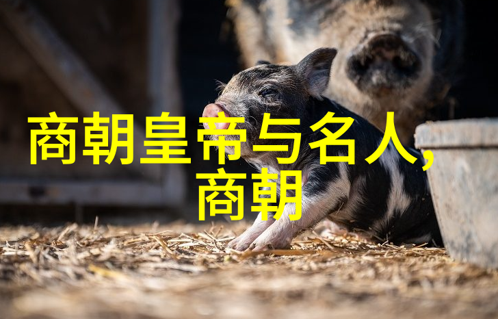 明代帝王继位顺序考古探究