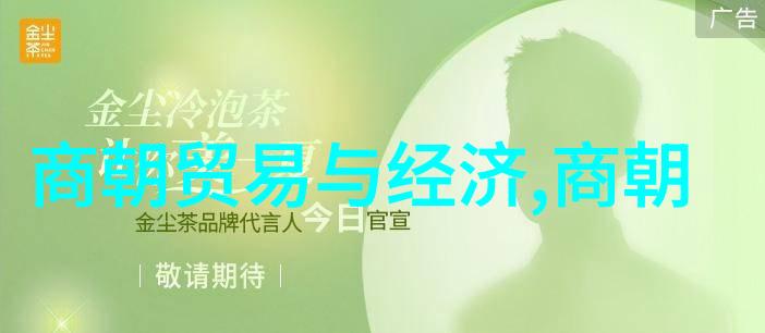 红楼梦中的贾史王薛四大家族背景上与明代贵族阶层有何相似之处